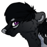 Thumbnail for Ka-4050: Orin