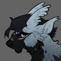 Thumbnail for Km-1832: Jackdaw