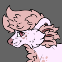 Thumbnail for Km-1299: TBN