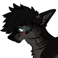 Thumbnail for Km-686: ☀︎ | Sparrow