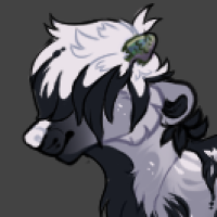 Thumbnail for Ka-4366