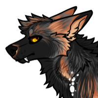 Thumbnail for Km-1900: Common