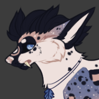 Thumbnail for Kn-2329: Jarek