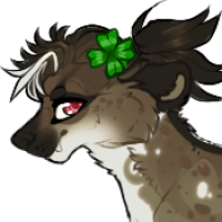 Thumbnail for Kn-2118: Silas (needs feather trial)