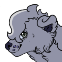Thumbnail for Km-2005: (Sona) Carbon -needs FT