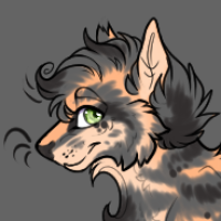 Thumbnail for Km-1941: Cinderpelt