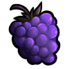 Rapsberry