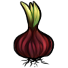 Red Onion