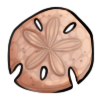 Sand Dollar