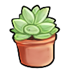 Itty Bitty Succulent