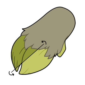 Colour Changing Hooves